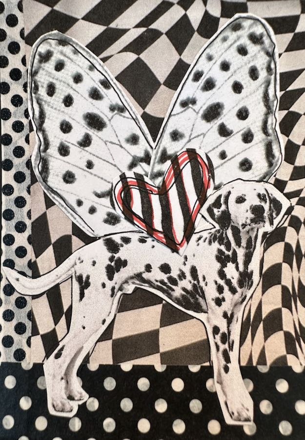 Black and white and sweet all over