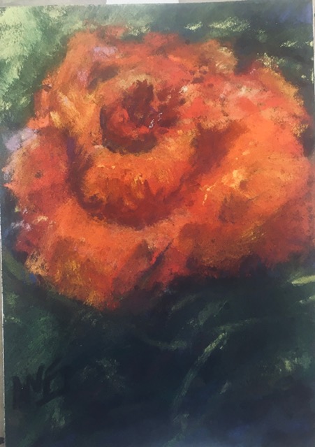 Blooming Rose