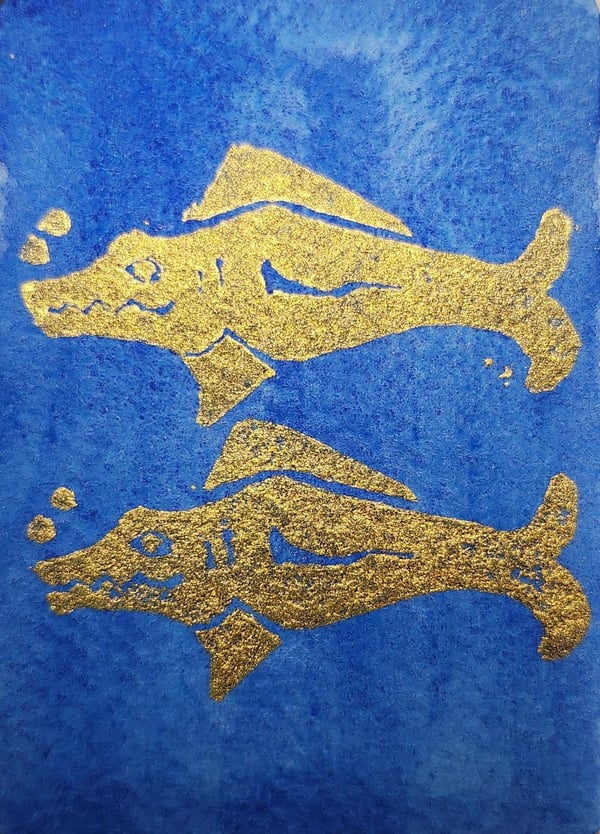 Blue Barracudas