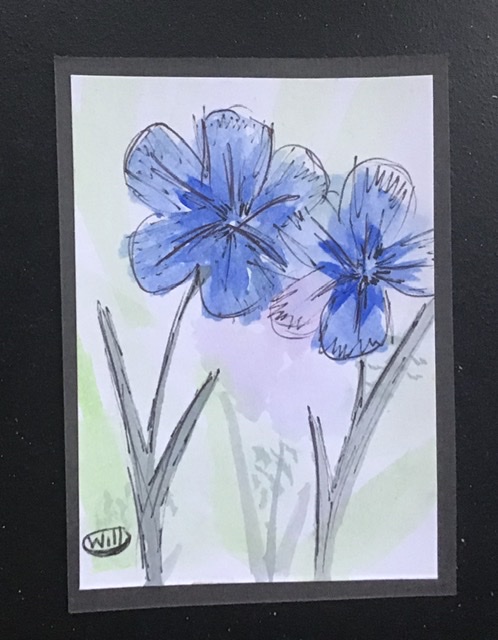 Blue flower