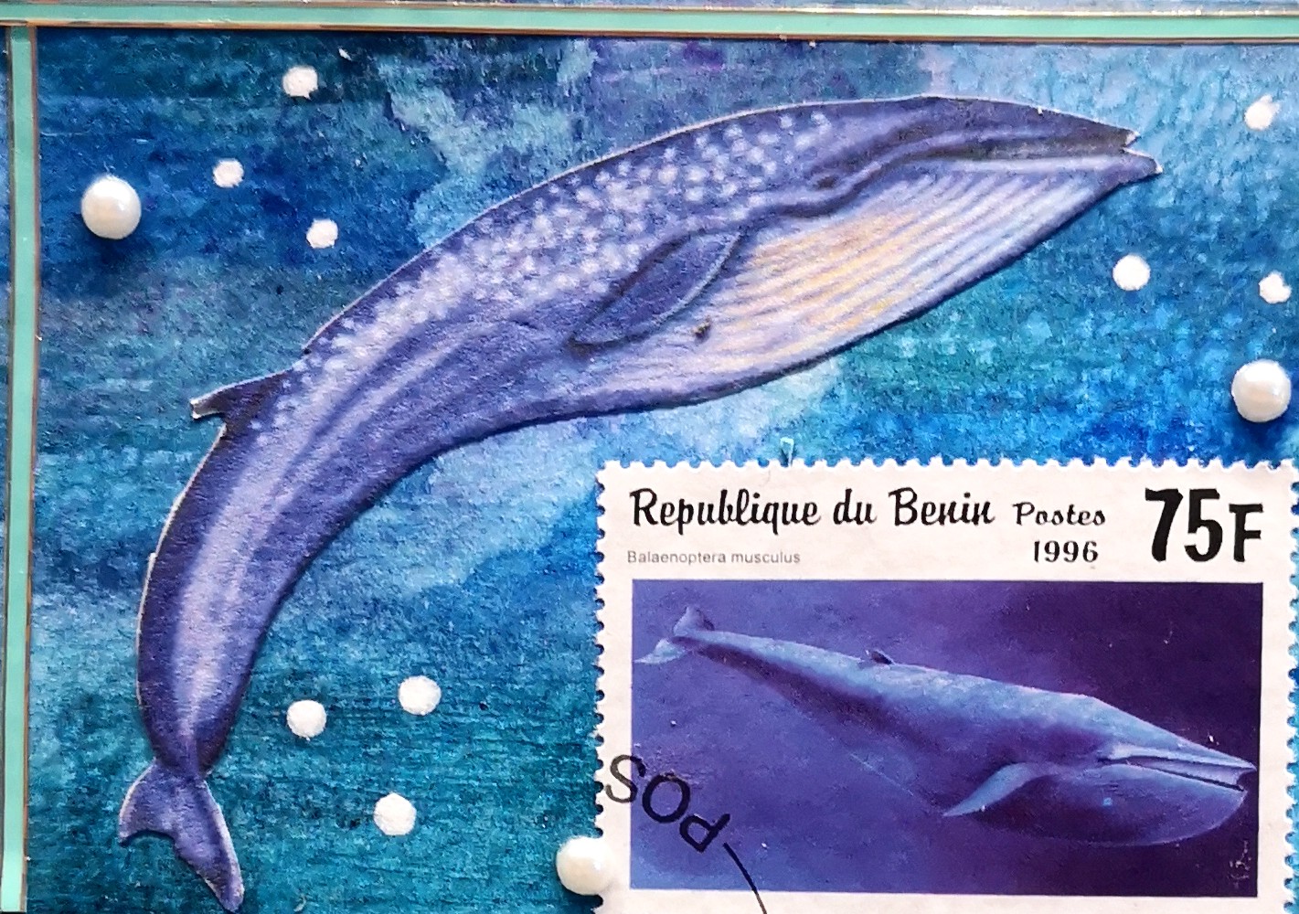 Blue_Whale.jpg