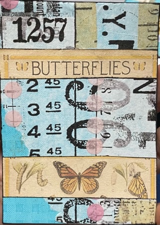 Butterflies.jpeg