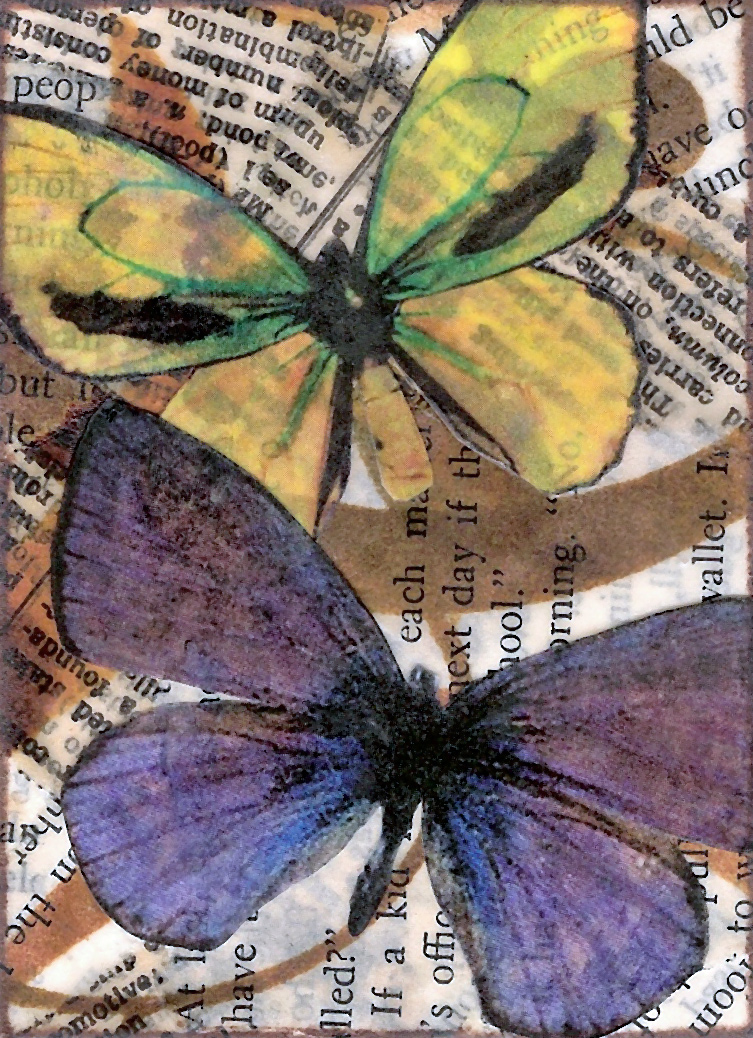 Butterfly - 3