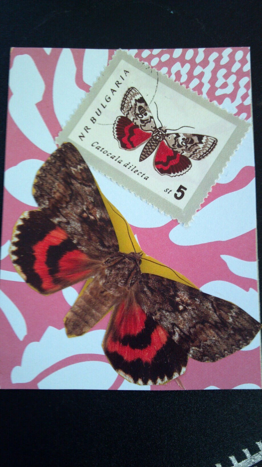Butterfly and Bug postage stamp