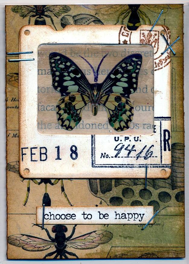 Butterfly Slide - February 18