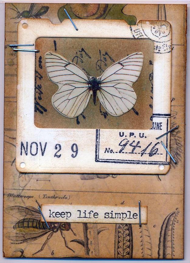 Butterfly Slide - November 29