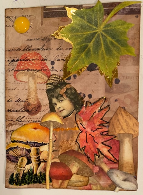 Camouflage Mushrooms