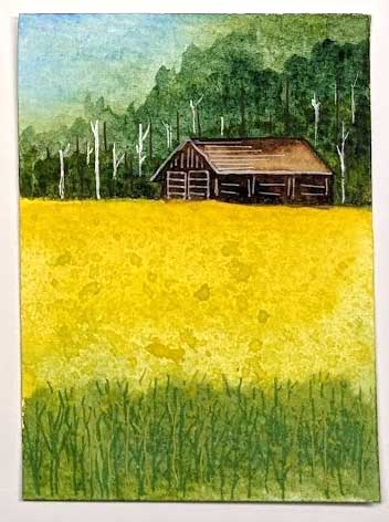 Canola field in bloom, outside Edmonton, Canada