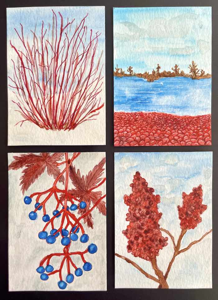 Cape Cod Native Plants for 10th Color Cube Swap hosted by Jo