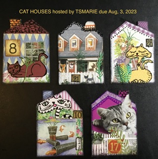 CAT HOUSES SWAP