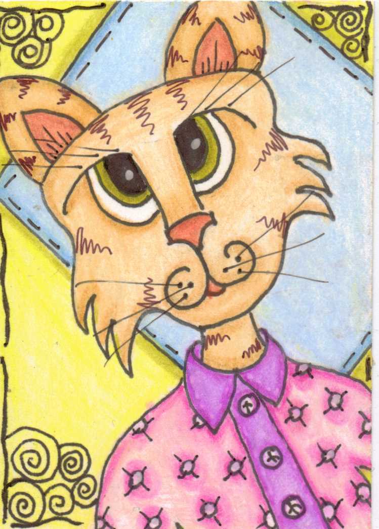 cat in pajamas