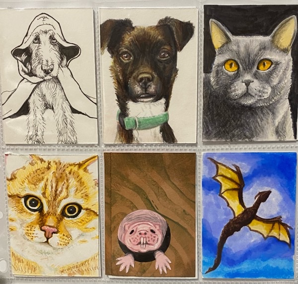 Cats and Dogs and Other.jpeg