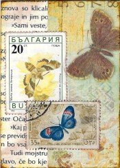 CH foreign stamps butterflies