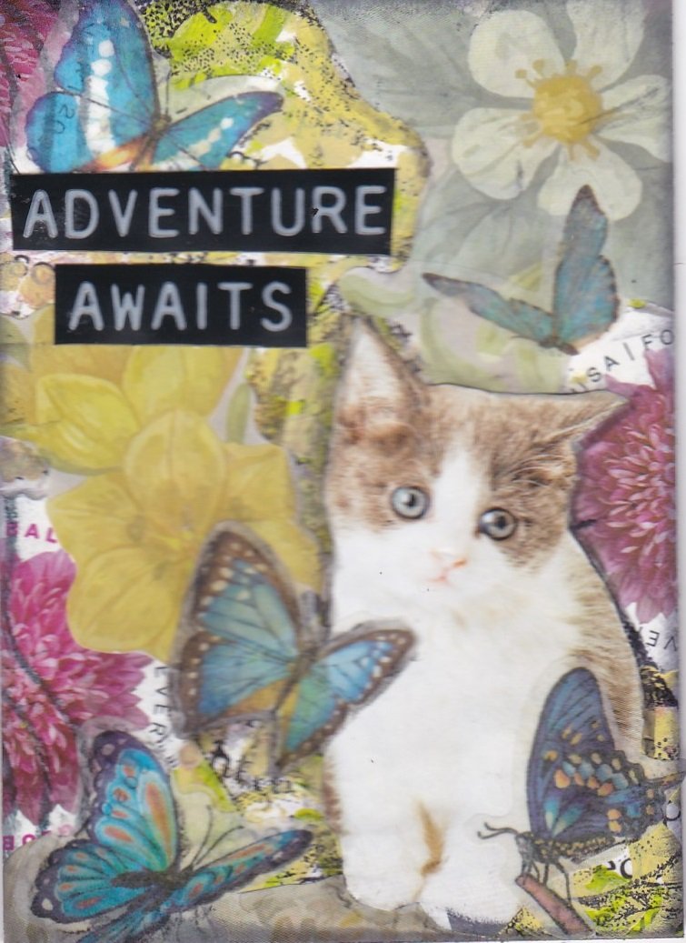 CHATHON 04 Cutekitten.jpg