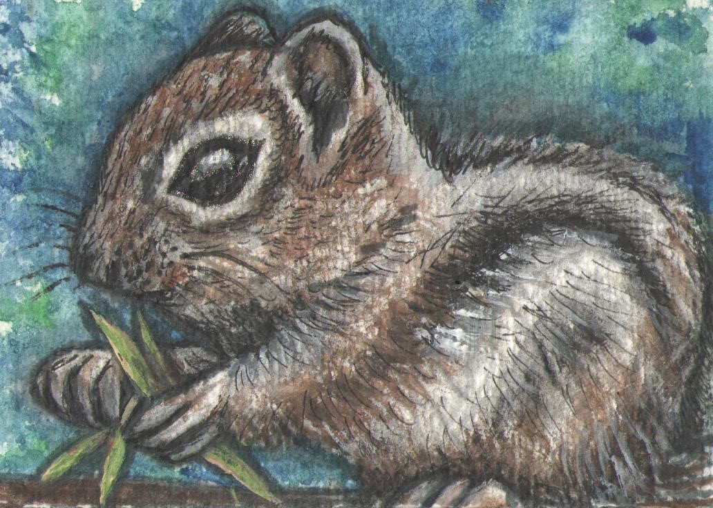 Chippy