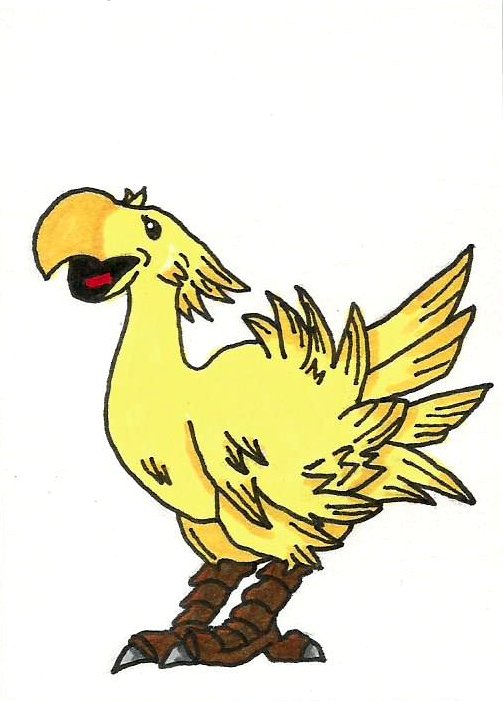 Chocobo