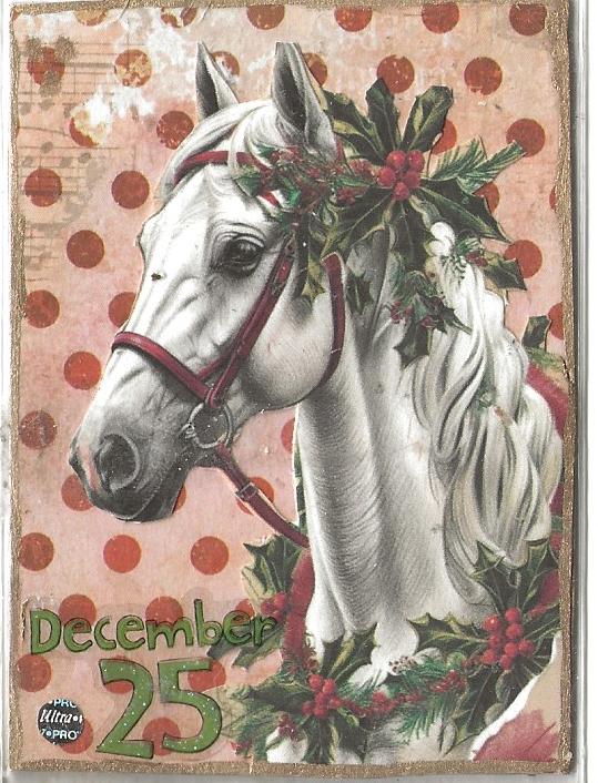 Christmas  White Satin.jpg