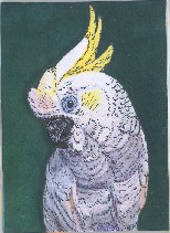 Cockatoo 1