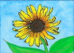 Color Cube #022- Sunflower