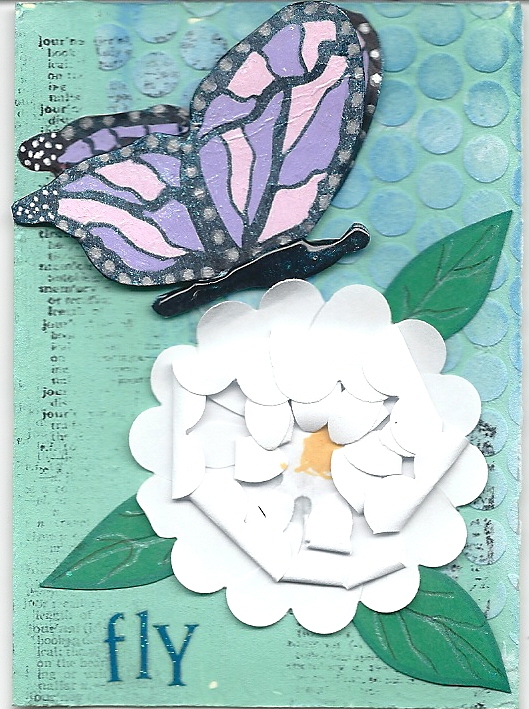 Colorful Butterflies