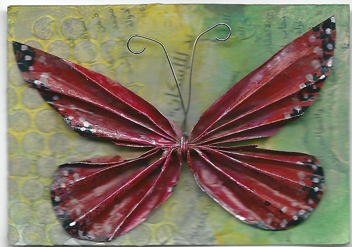 Colorful Butterflies