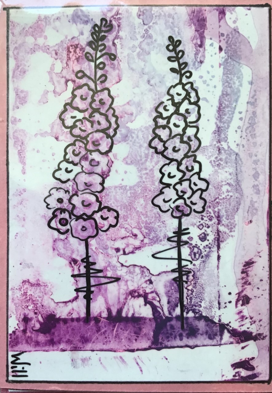 Delphinium pink