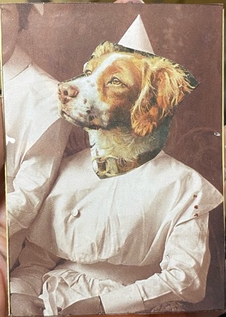 Dog with a job.jpeg
