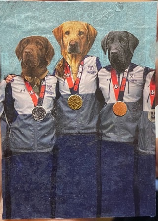 Dogs with goals.jpeg