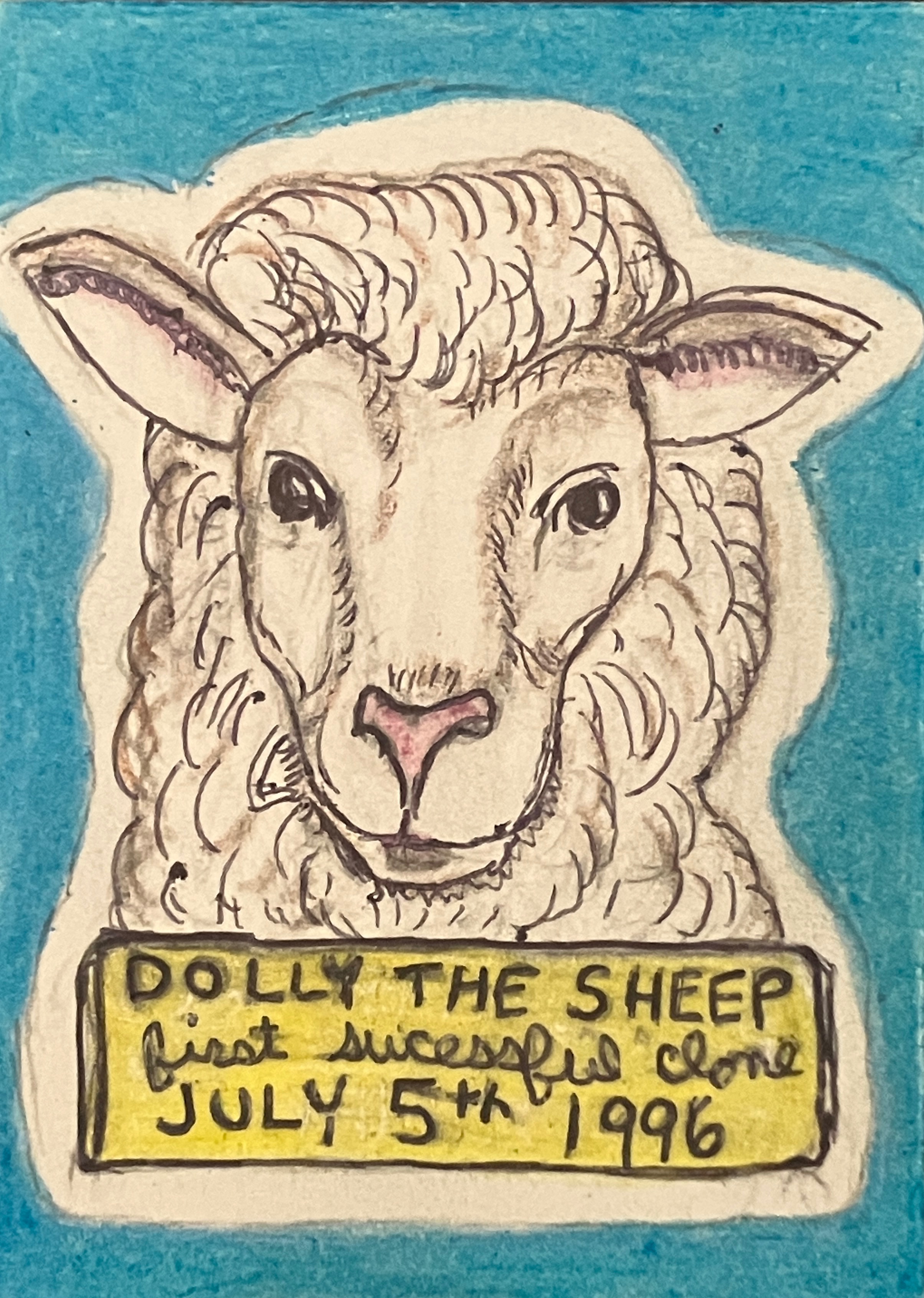 Dolly the Sheep