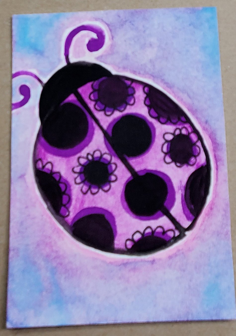 dreamy ladybug.jpg