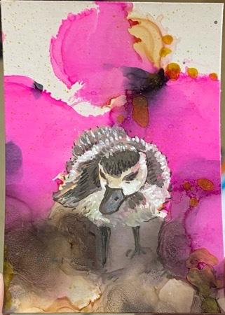 Duckling.jpeg