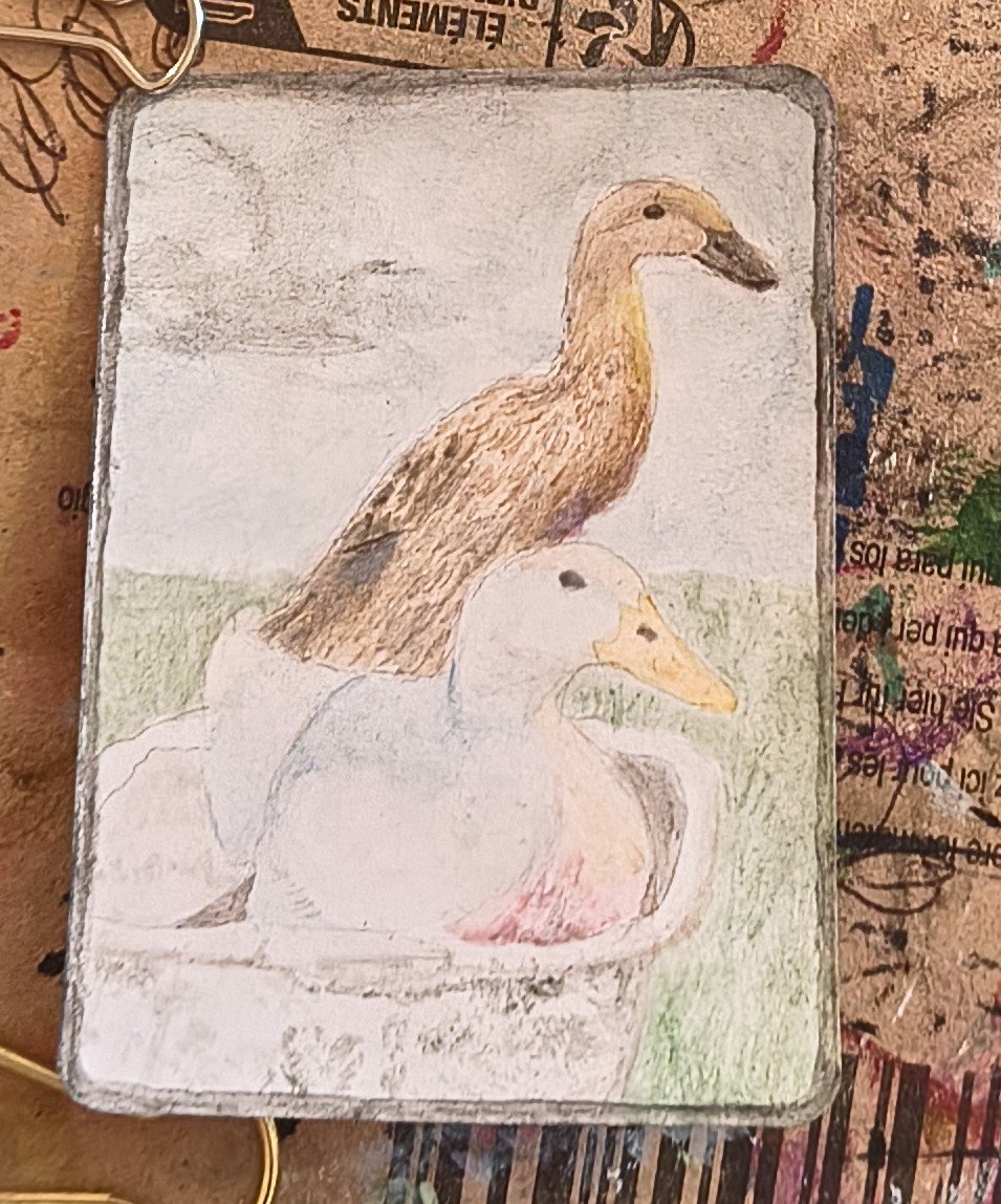 Ducks 2