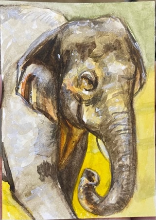 E is for Elephant.jpeg