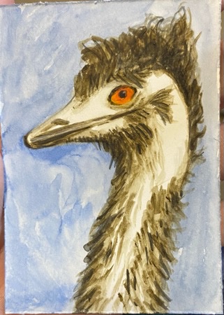 E is for Emu.jpeg