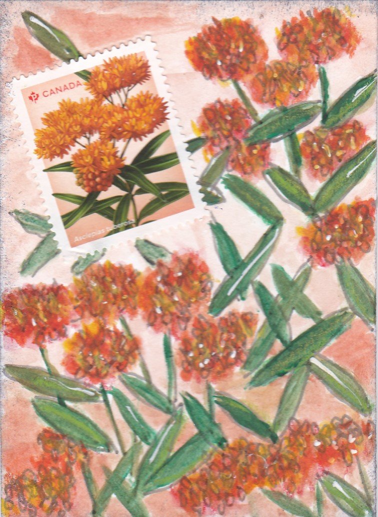 Earthdayathon02 butterfly milkweed.jpg