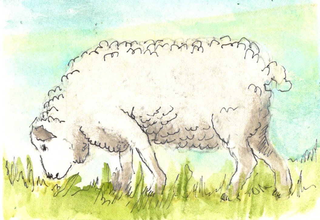 EAthon 1 A Little Bit of Wool