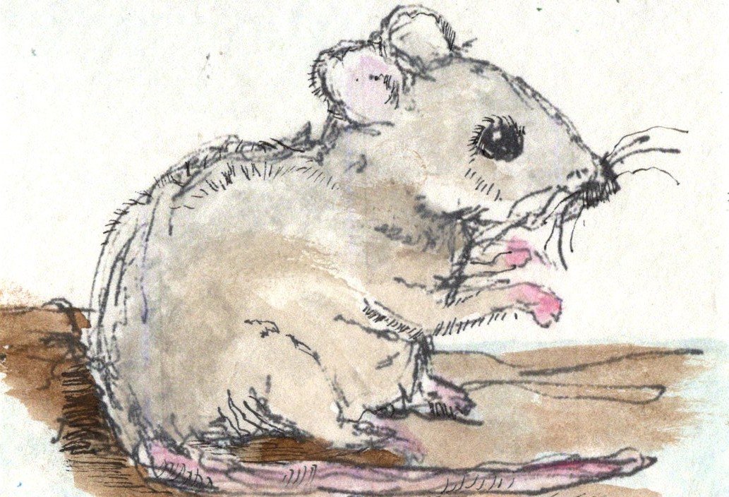 EAthon 2 A Little Mouse Told Me