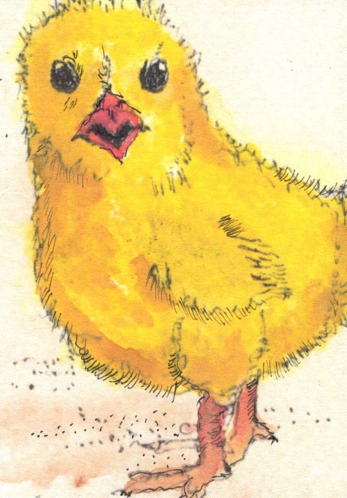 EAthon 3 Cheep Cheep