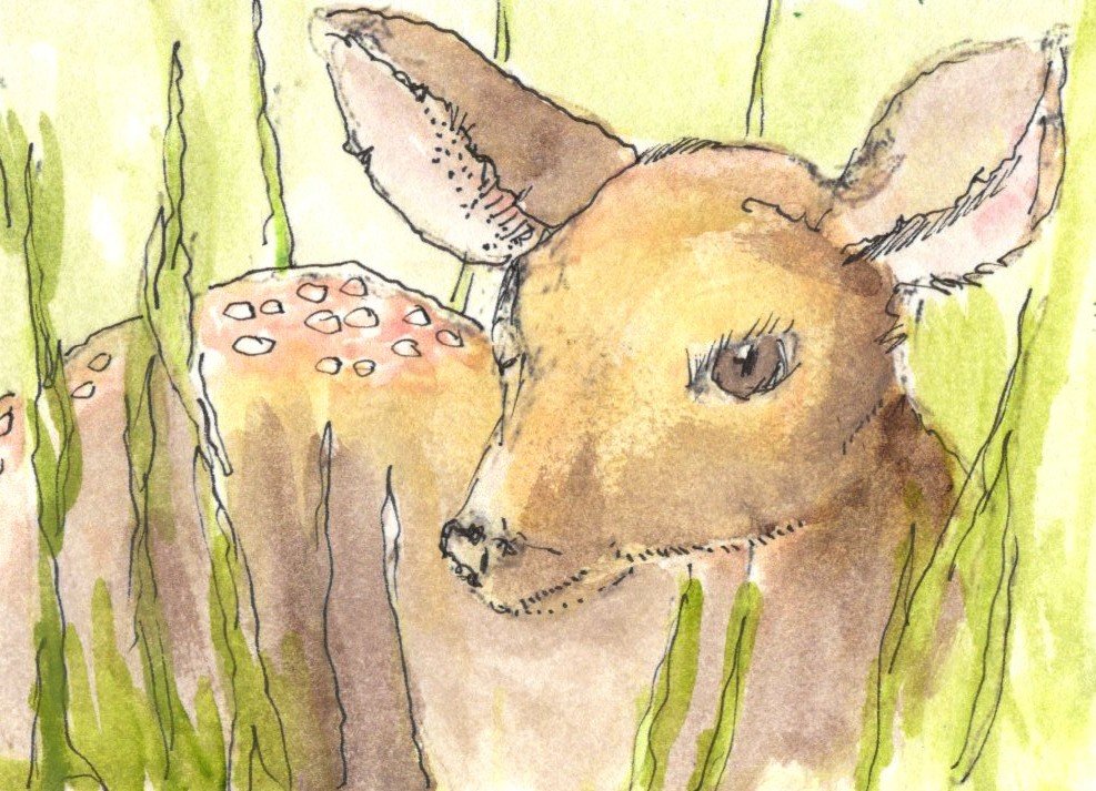 EAthon 5   TRADED. Oh, Deer