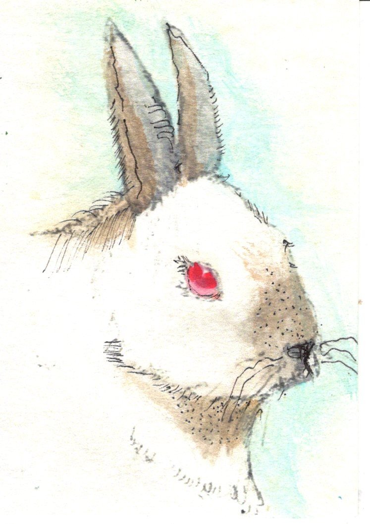 EAthon 8 White Rabbit