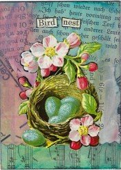 ED ATART - bird nest
