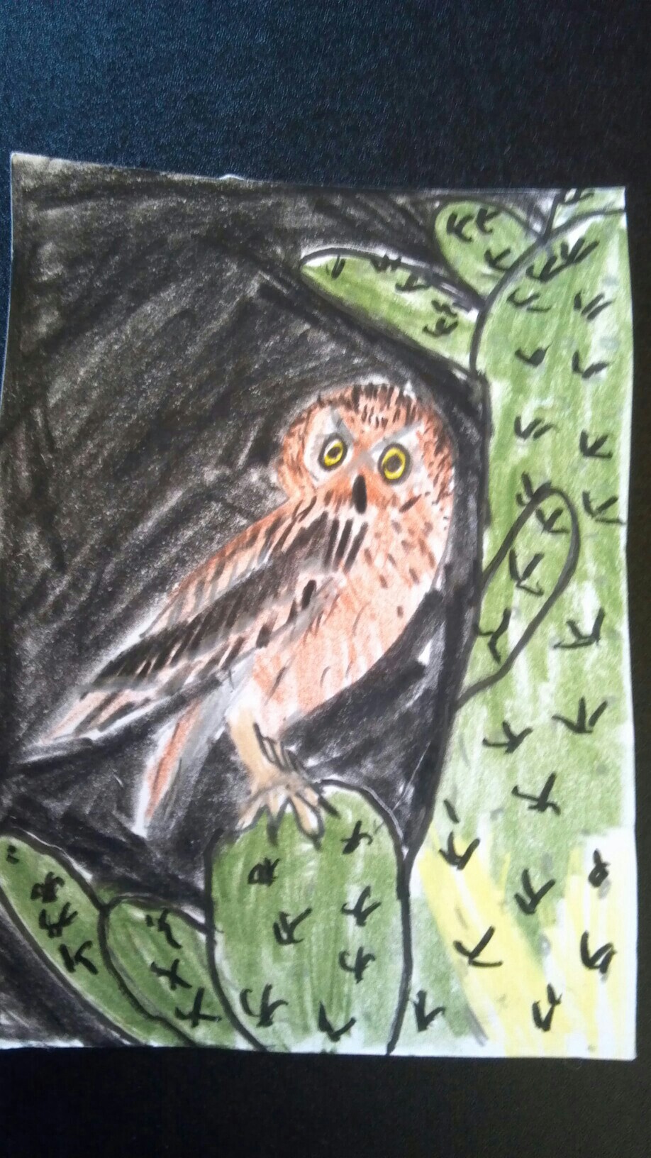 Elf Owl
