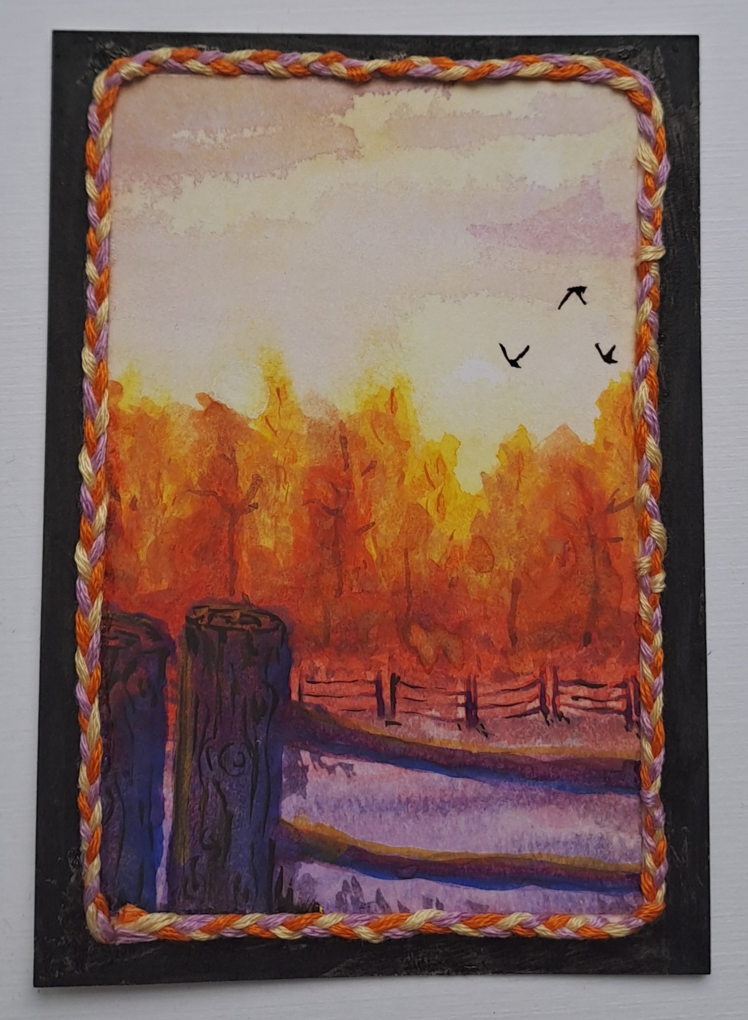 evening pasture