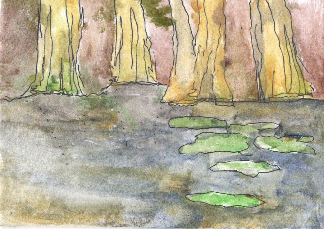 Everglades National Park