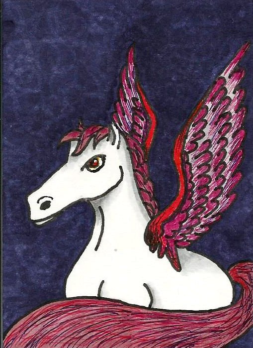 Fancy Pegasus
