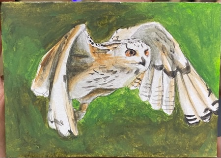 Feathered Friend IV.jpeg