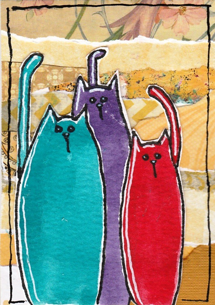 Feline2