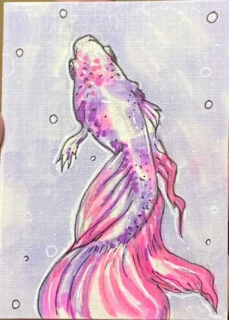 Fighting Fish.jpeg