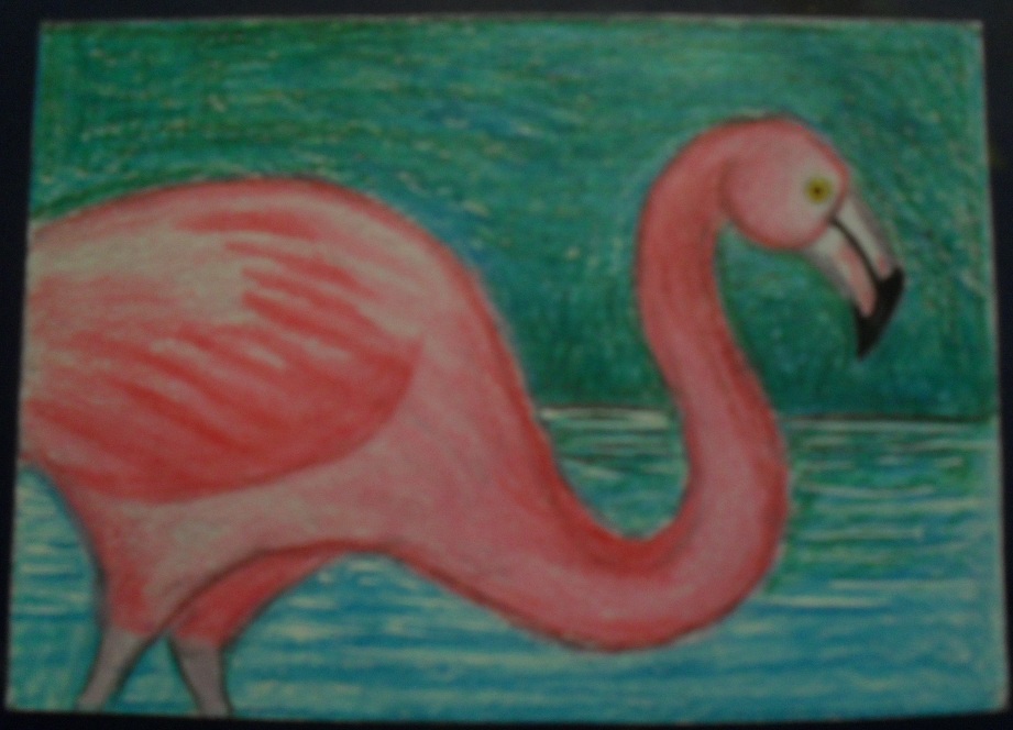 flamingo