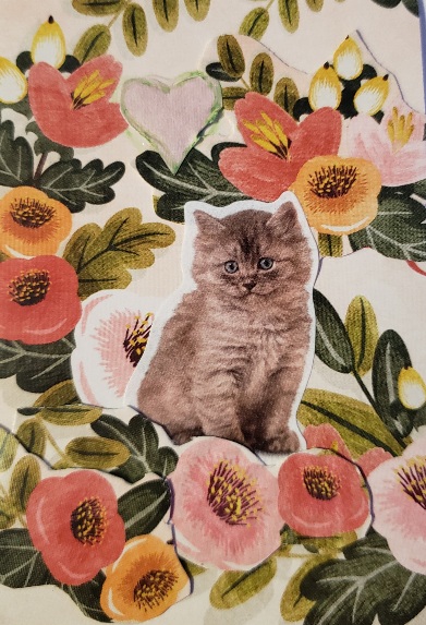 Floral Sweetie Kitten